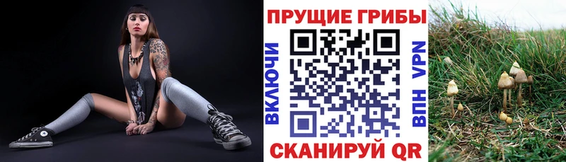 Галлюциногенные грибы мухоморы  где продают наркотики  Костерёво 